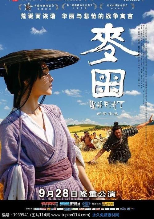 贝尔法斯特斯却莱米尔斯学院Accounting Diploma